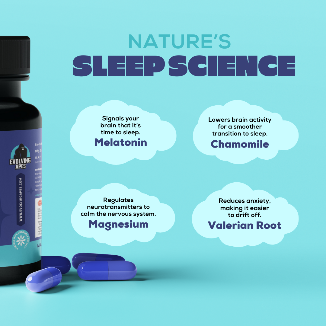 Lift & Recover Bundle