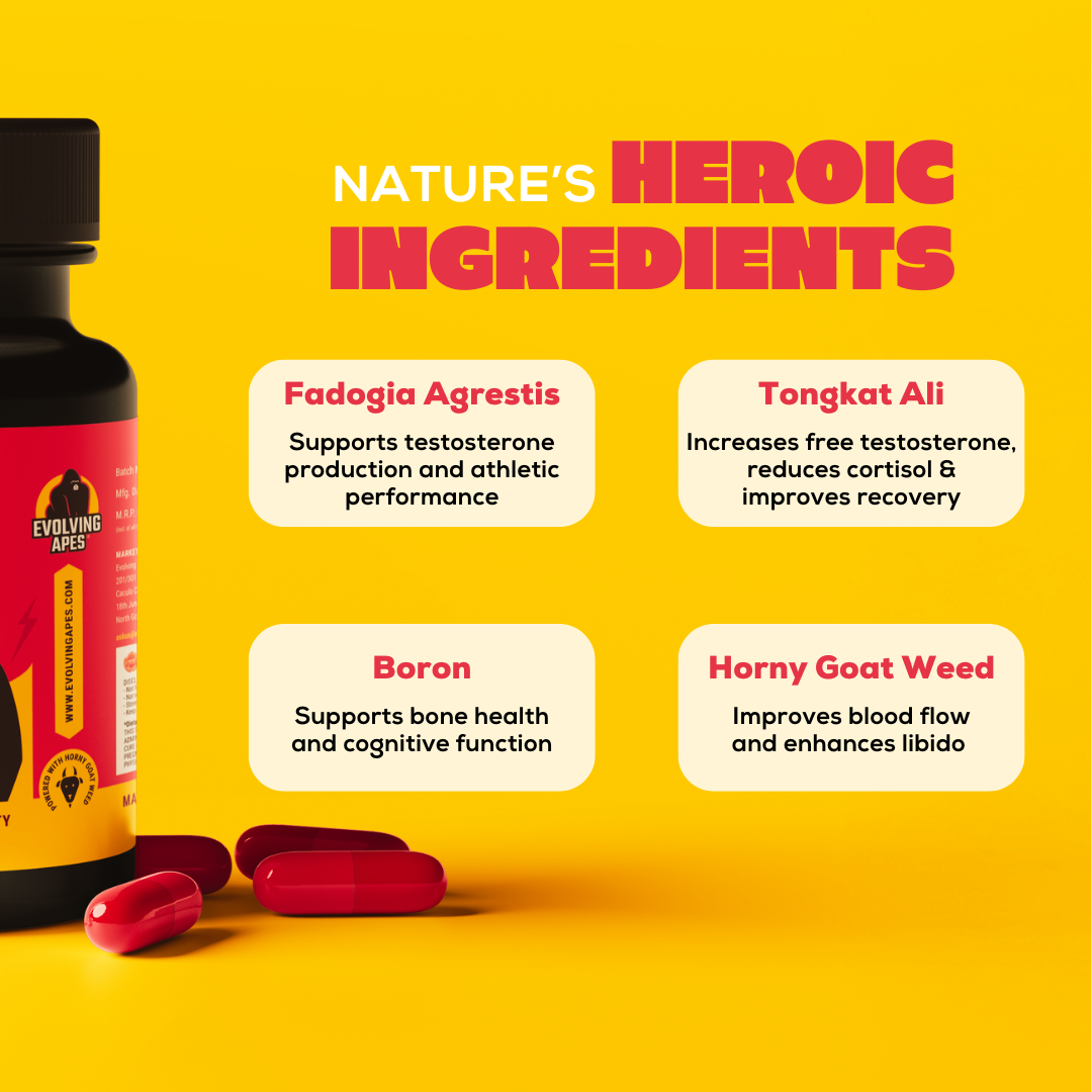 Lift & Recover Bundle