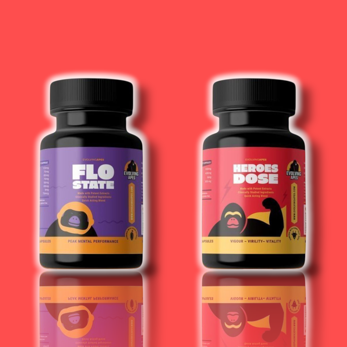 Mind & Muscle Bundle