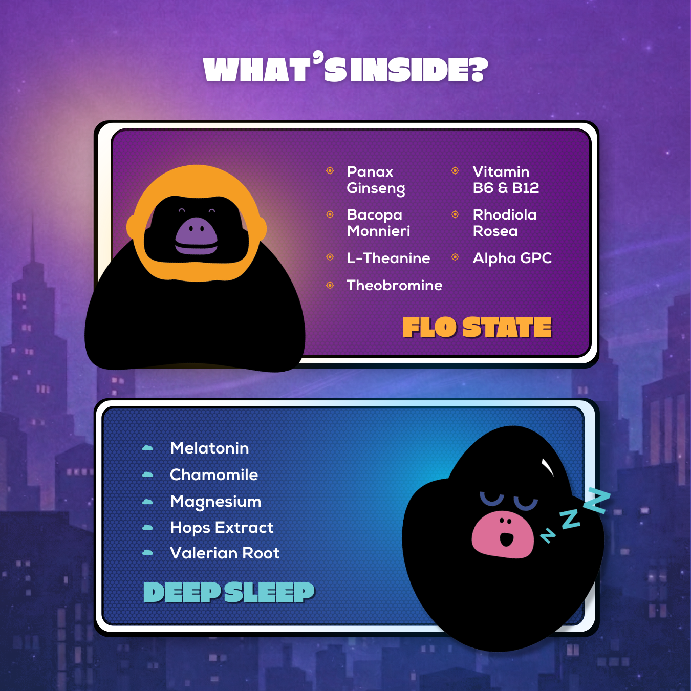 DAY & NIGHT BUNDLE