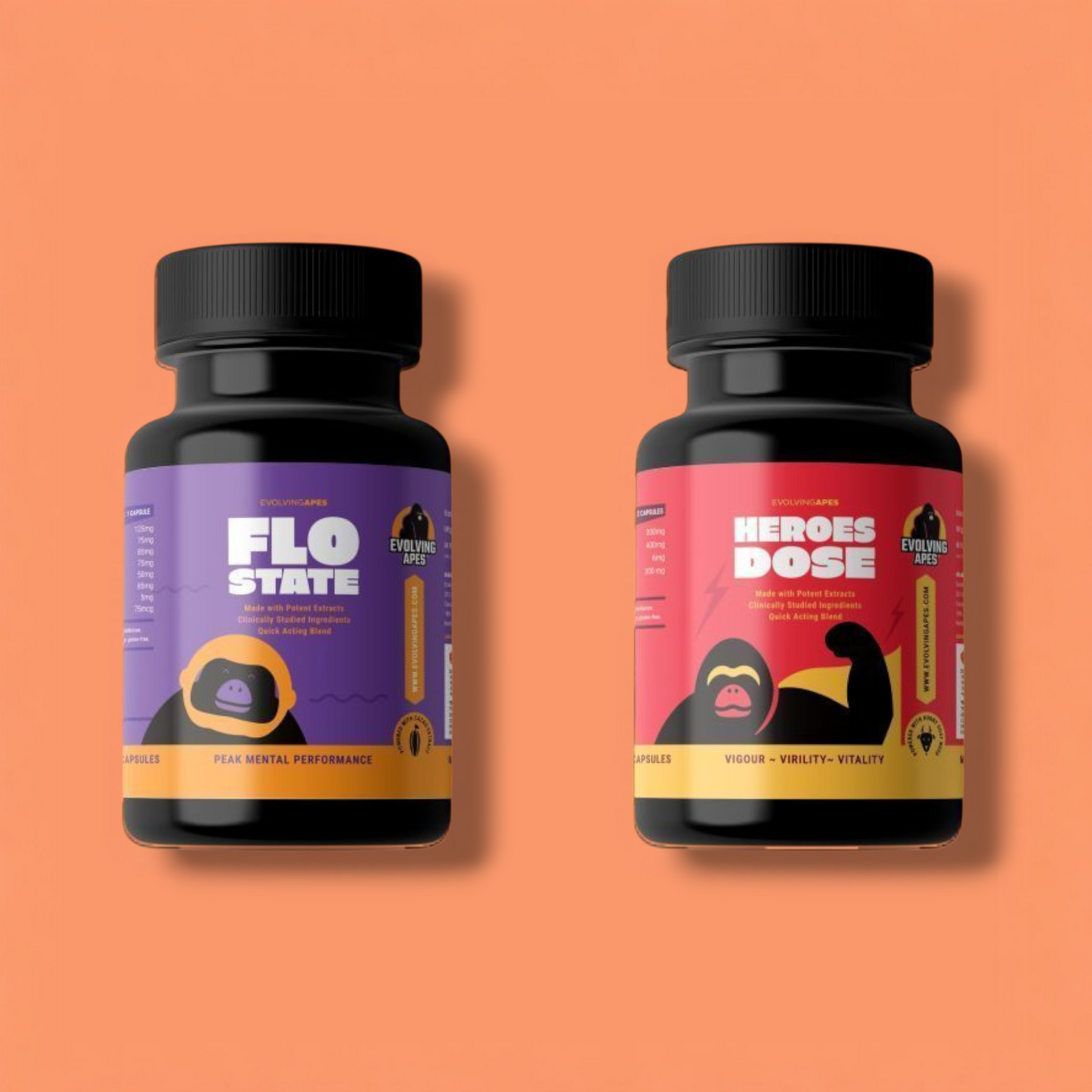 Mind & Muscle Bundle