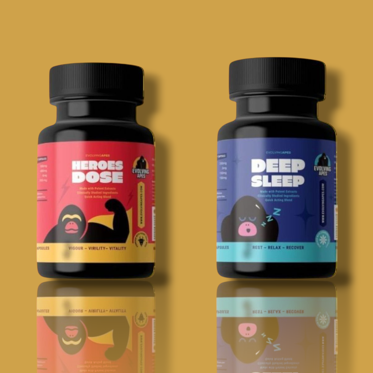LIFT & RECOVER BUNDLE